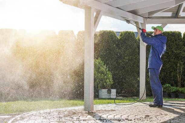 Best Building Exterior Washing  in Windsor, NC